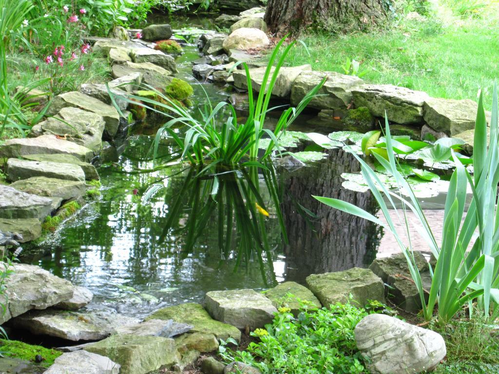 Baldwinsville Bed And Breakfast Esterno foto