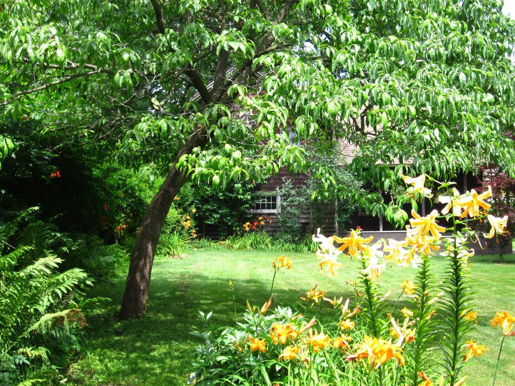 Baldwinsville Bed And Breakfast Esterno foto