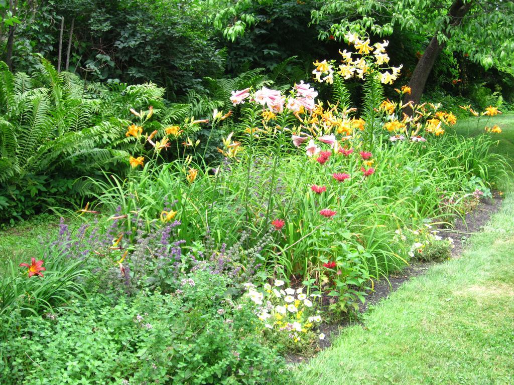 Baldwinsville Bed And Breakfast Esterno foto