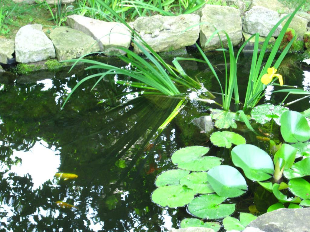 Baldwinsville Bed And Breakfast Esterno foto