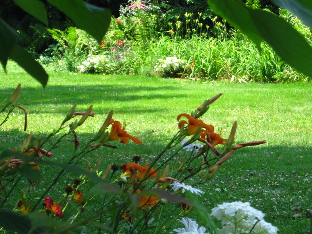 Baldwinsville Bed And Breakfast Esterno foto