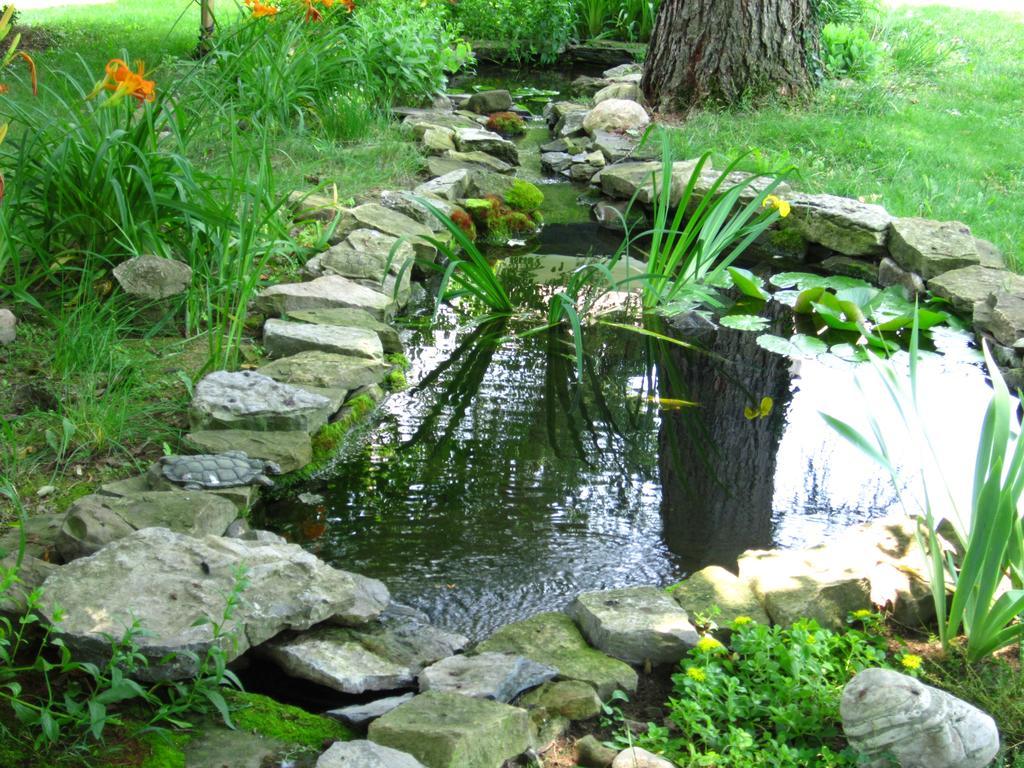 Baldwinsville Bed And Breakfast Esterno foto