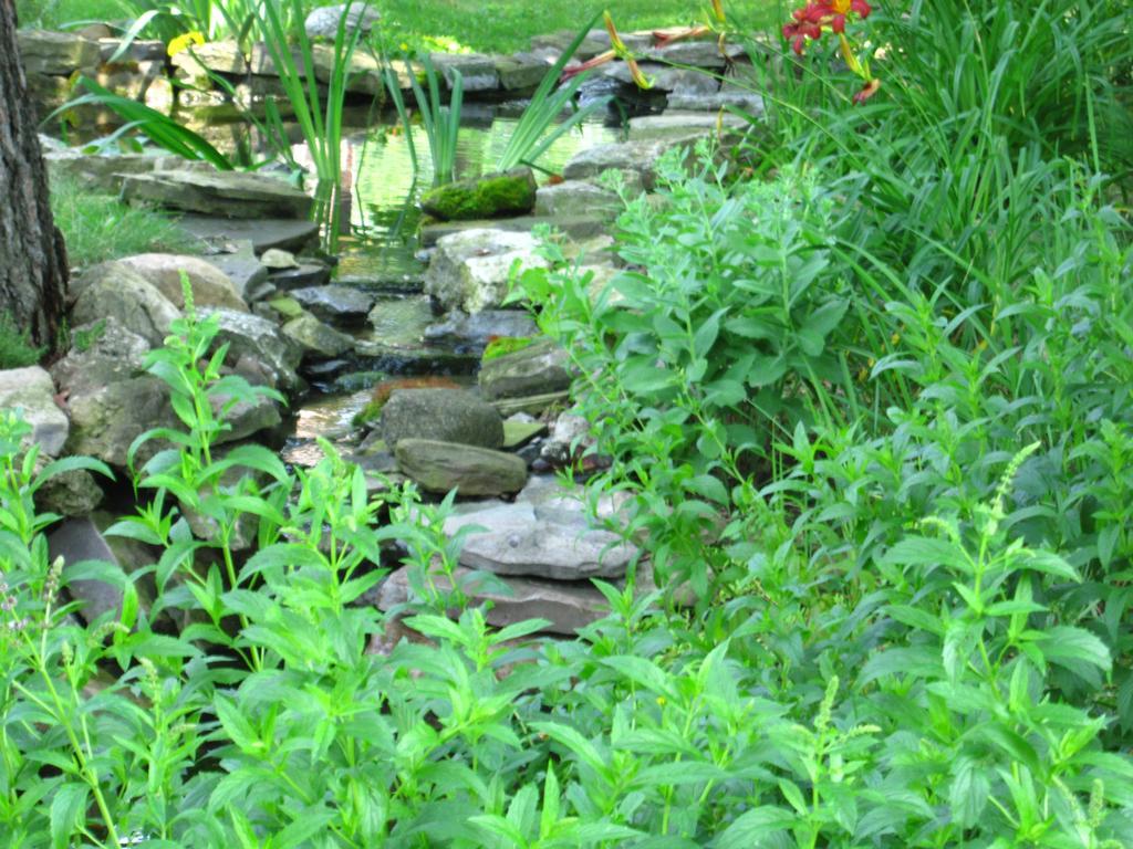 Baldwinsville Bed And Breakfast Esterno foto