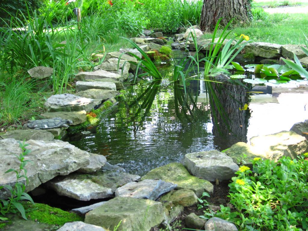 Baldwinsville Bed And Breakfast Esterno foto